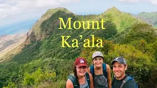 Mount Ka&rsquo;ala // O&rsquo;ahu Highpoint