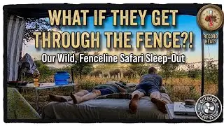 The Wild North of Kruger! Camping at Punda Maria. Late setup, bush view & Surprise Elephant Visit!