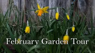 February Seeds and Garden Tour | Goth Cottage Garden