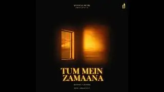 TUM MEIN ZAMAANA (feat. Ronnik)