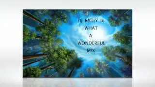 WHAT A WONDERFUL M!X *Dirty Dutch and Trap*  MIX