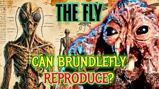 Brundlefly (The Fly) Monster Anatomy Explored - Could More People Become Brundlefly Via A Virus?