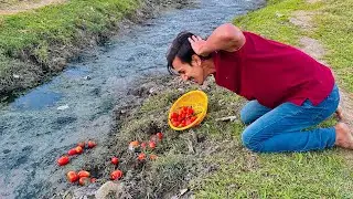 Karobari Sabzi Nalay Mein Girgayi 😭 ||