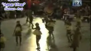 CHOLONES DE RUPA RUPA