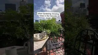 Urban Gardening: Growing Green in the Concrete Jungle