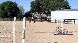 Kortney Bahem & Chef&mdash;OHSA World Show 2025&ndash;Classes 47, 48, 49