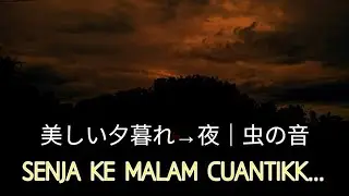 「夕暮れから夜へ 〜虫の音に包まれる静かな時間〜」#夕暮れ #夕焼け #夜の始まり #虫の音 #自然音 #ASMR #ヒーリング #田舎の風景 #リラックス #癒しの時間 SUARA ALAM 