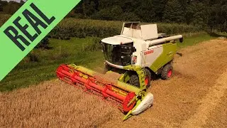 Gerste dreschen 2021 am Bodensee 🌾 | Claas Tucano 560 [HD]
