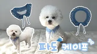 여름을 반기는 파도🌊케이프 / 다이소 실로 강아지 케이프 뜨기 / 강아지 케이프 / 코바늘 케이프 / 뜨개 튜토리얼 / 🧶사부작 with me ◡̎🧶