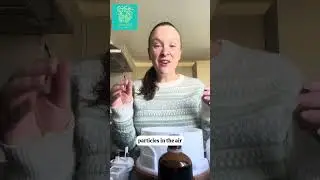 How to easily get rid of &ldquo;stinky dog&rdquo; smell 