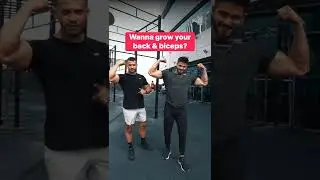 Идеальная тренировка для спины и бицепсов