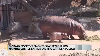 BioPark Society removes Zia from hippo naming contest