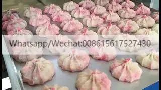 Automatic Mini Biscuit Cookie Depositor Machine Industrial Rotary Cookie Biscuit Making Machine