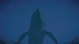 Massive Mosasaurus Splash &ndash; Jurassic Action! 🦖🌊