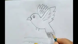 Cute Dove 🕊️🕊️ Draw #dove #dovedrawing #drawing #easydrawing #pencildrawing #art