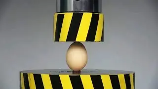How Much Weight Can An Egg Support?