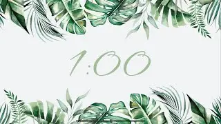 1 Minute Timer Tropical/Monstera/Leaves/Palm Transition 
