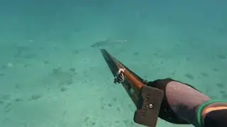 Spearfishing newcal II (gros thazard, mekoua et bar jaune)