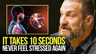 Neuroscientist: 