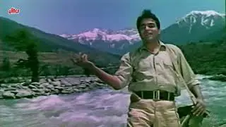 Main Pyar Ka Deewana | Ayee Milan Ki Bela 1964 | Rajendra Kumar | Mohammed Rafi Romantic Song