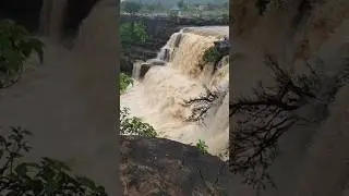 Shabari waterfall in chitrakoot ❤️😍#shorts #shortvideo #shortfeeds #nature #waterfall #ytshorts