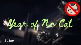 Bush Baby - Year of No Cat (Official Music Video)