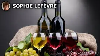 Guide Ultime : O&ugrave; et &agrave; Quelle Temp&eacute;rature Conserver Votre Vin pour le Pr&eacute;server Parfaitement