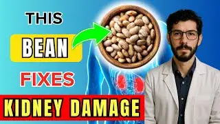 Top 3 Beans That Rapidly Cleanse Your Kidneys & Flush Toxins Naturally | HealU