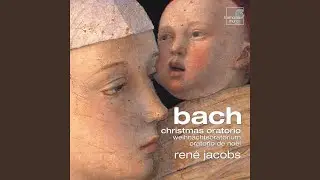 Christmas Oratorio, BWV 248: Part III, 29. Duett 