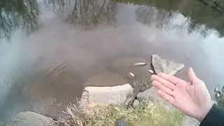 2025 FIRST TROUT FISHING