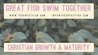 153 Great Fish Trailer