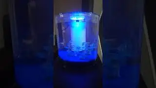 Aquarium Marina 360&deg;