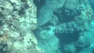 P3120125.MP4