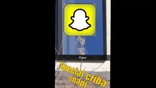 Special criba snapi