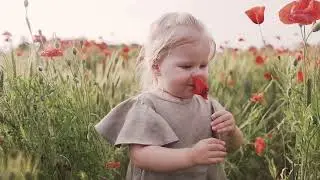 Meadow Melodies: A Song of Nature's Delight