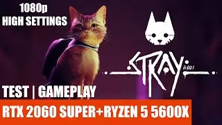Stray | RTX 2060 SUPER+RYZEN 5 5600X | 1080p