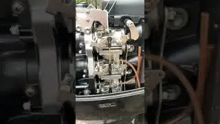 Fuel leaking from Outboard motor