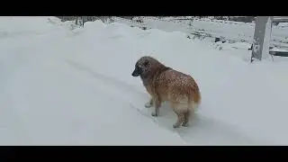 Итуруп