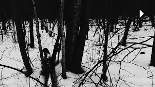 Macron - Snow-Covered Forest