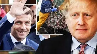 'Boris has surrendered!' Brexit fury as PM CAVES on fishing and hands major win t0 France