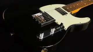 Fender Custom Shop Dealer Select Wildwood 