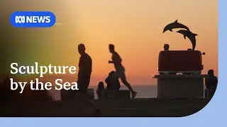 Скульптура Бонди у моря возвращена после спасения стоимостью 200 000 долларов | ABC NEWS
