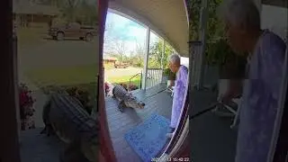 Angry grandma vs alligator (Doorbell Cam)