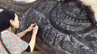 Tourist Creates Incredible Art On Camel Coat