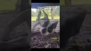 Bruh said it wasn't heavy#Imao #funny #viralreels #trending #trendingreels #viral #hoodvidz #comedy
