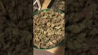 Batch one GO from twistertrimmer.com part 1 before trim