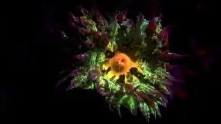 UV night diving in Africa