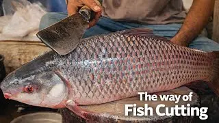 Giant 6lb Rohu Fish Cutting 😱 | Extreme Fish Cutting Skills in Bangladesh Fish Market