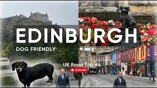 ЭДИНБУРГ с нашей СОБАКОЙ 🐾 Гид, где можно взять собаку, где остановиться, путеводитель | Автопуте...