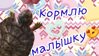 Кормлю малышку. SuSaN ChaNNeL.